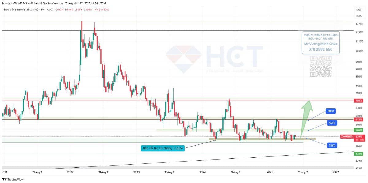 27.5.2025 - Thị trường lúa mỳ: vùng giá rẻ hiếm có, xu hướng đảo chiều tăng đã xác nhận