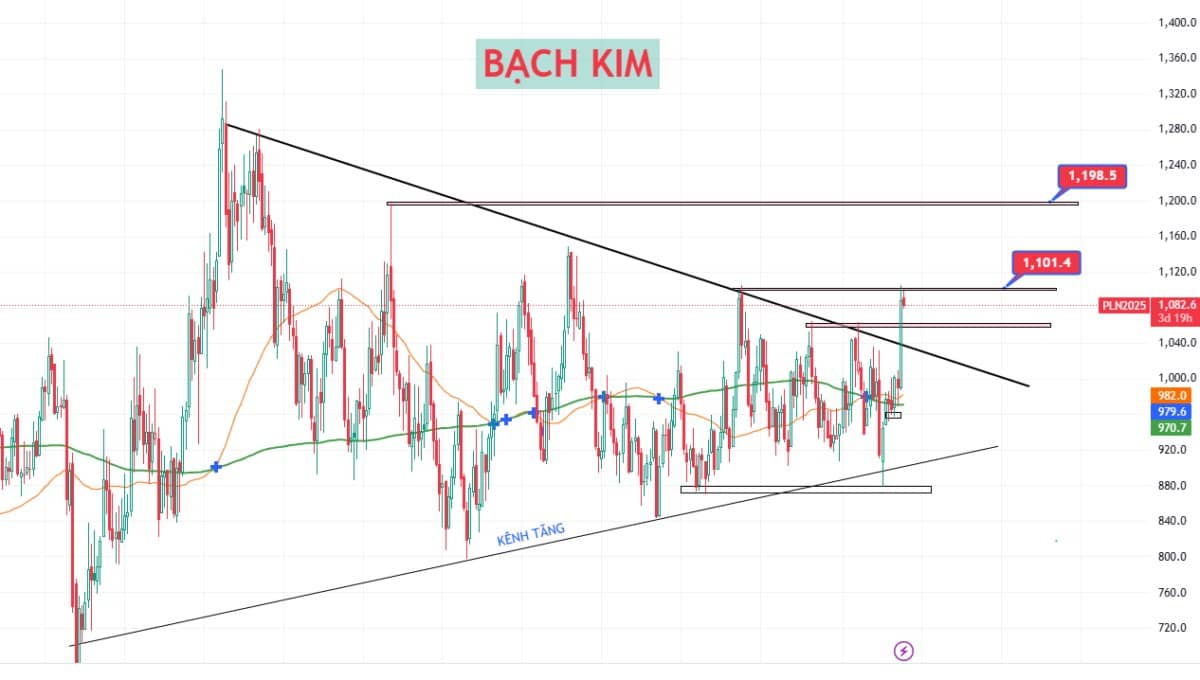Trump tạm ngưng áp thuế 50% với EU – Căng thẳng thương mại hạ nhiệt ngắn hạn