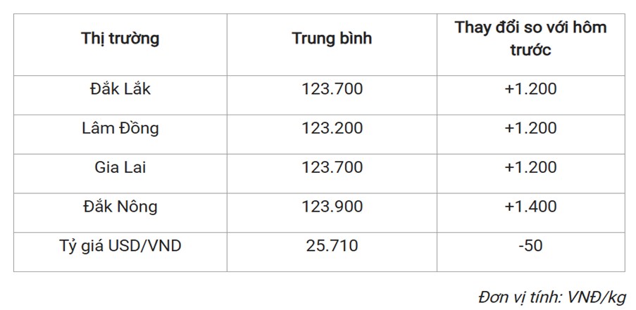Giá Cà Phê Ngày 27/5: Phục Hồi Gần 124.000 Đồng/Kg – Tâm Lý Thị Trường Vẫn Thận Trọng