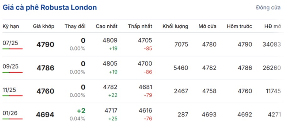 Giá Cà Phê Ngày 27/5: Phục Hồi Gần 124.000 Đồng/Kg – Tâm Lý Thị Trường Vẫn Thận Trọng