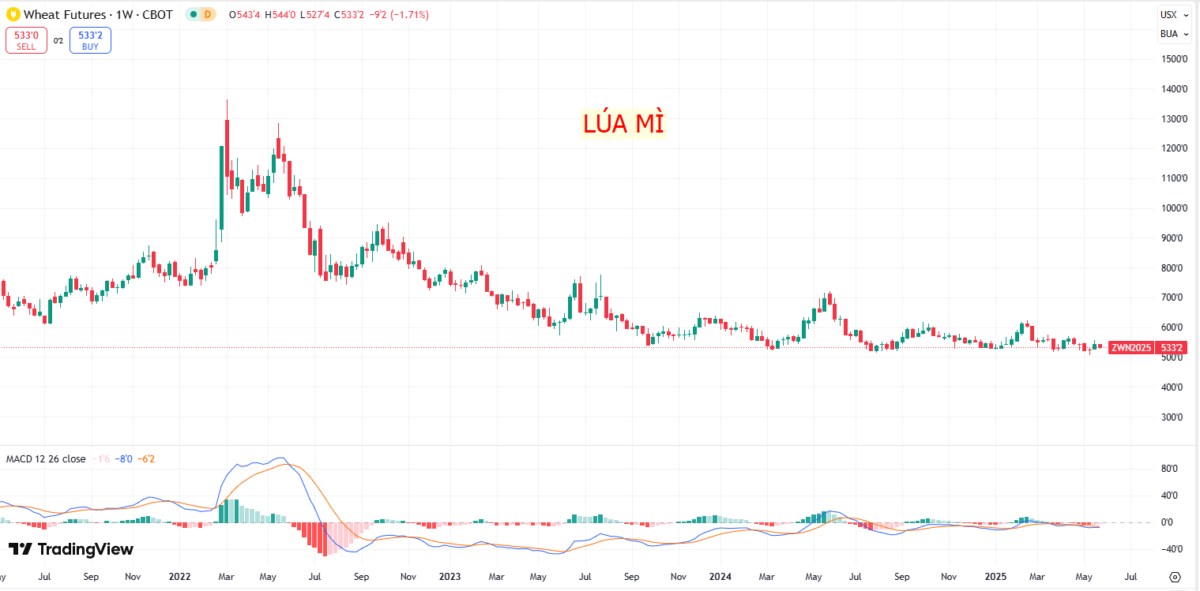 Lúa mì kỳ hạn tháng 7/2025: Tín hiệu kỹ thuật và chiến lược giao dịch ngắn hạn