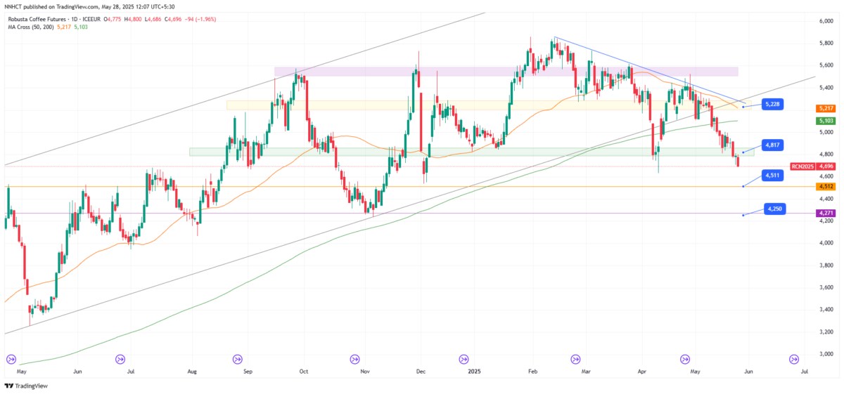 Nhận định xu hướng thị trường Cafe