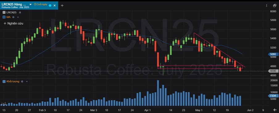 Giá Cà Phê Ngày 28/5/2025: Robusta Tiếp Tục Giảm Sâu – Arabica Có Dấu Hiệu Phục Hồi Nhẹ