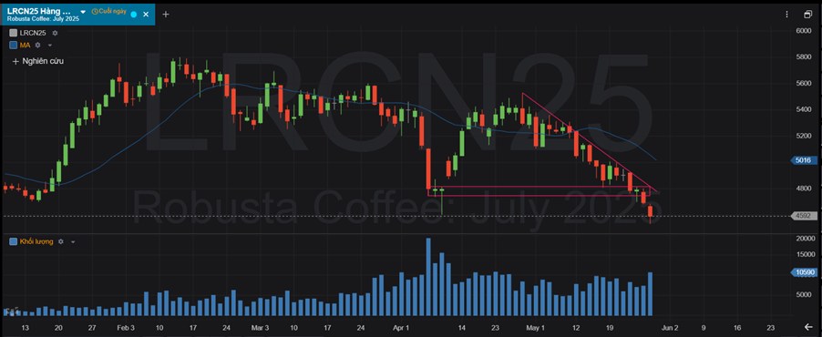 Giá Cà Phê Ngày 29/5/2025: Đồng Loạt Giảm Mạnh – Robusta Thủng 4.600 USD, Arabica Tiếp Cận Ngưỡng Hỗ Trợ Quan Trọng