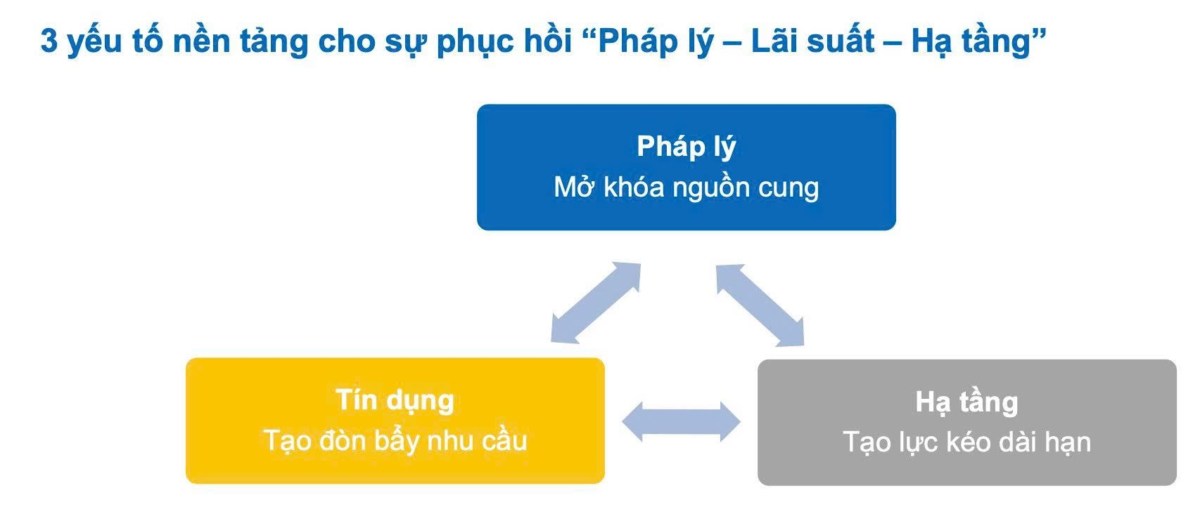 NVL, HDC tăng kịch trần - Điều gì đang xảy ra với cổ phiếu bất động sản?