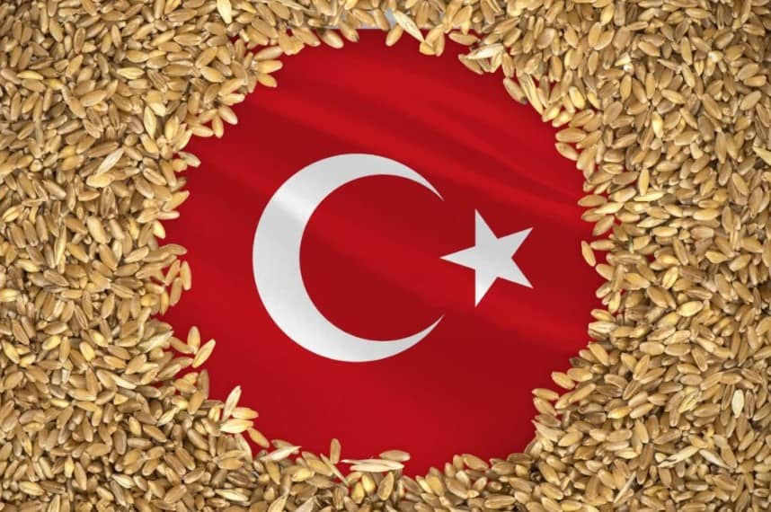 Thổ Nhĩ Kỳ dự báo sản lượng ngũ cốc sẽ giảm