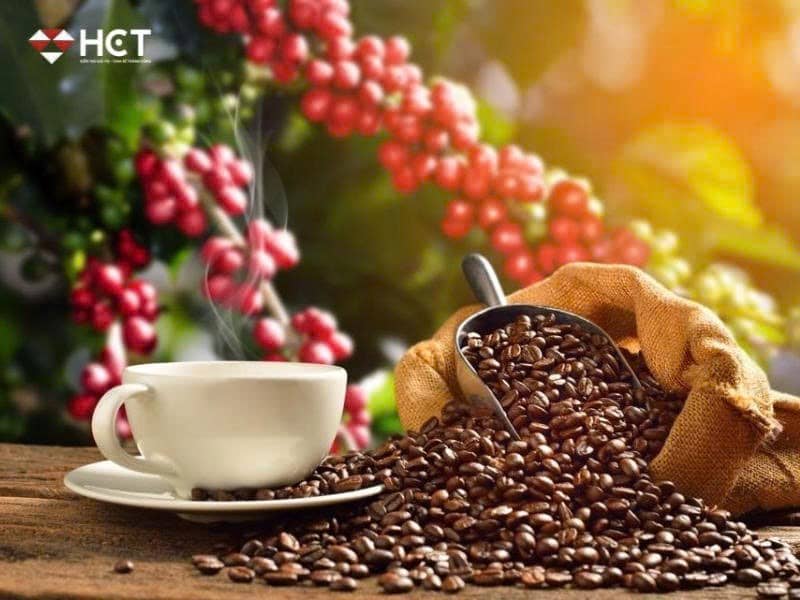 Thị trường cà phê: Giá cà phê tiếp tục điều chỉnh kỹ thuật, có thể tạo cơ hội mua ngắn hạn?