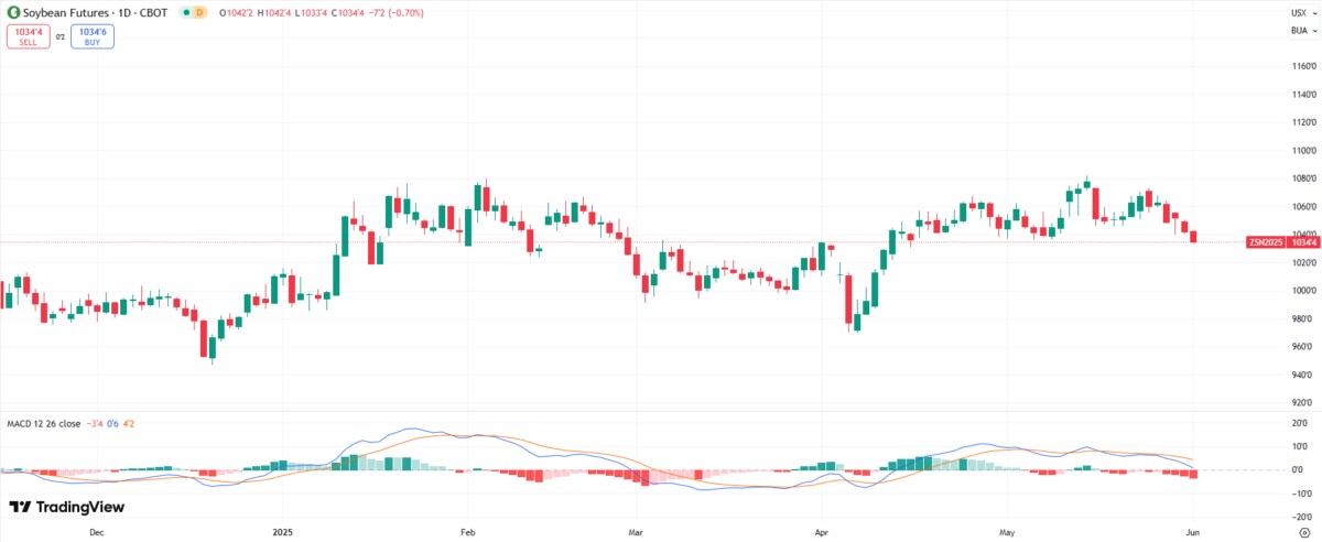 Đậu tương kì hạn tháng 7/2025: Cân bằng mong manh giữa áp lực cung và kỳ vọng thời tiết!