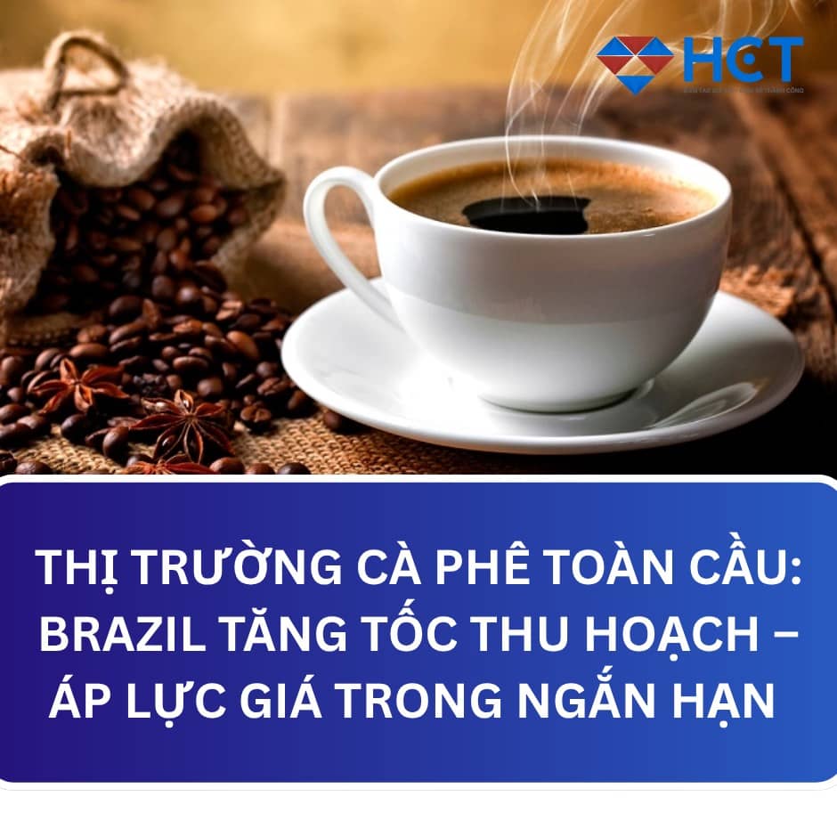 Brazil Thu Hoạch Mạnh – Thị Trường Cà Phê Toàn Cầu Đang Rẽ Hướng?