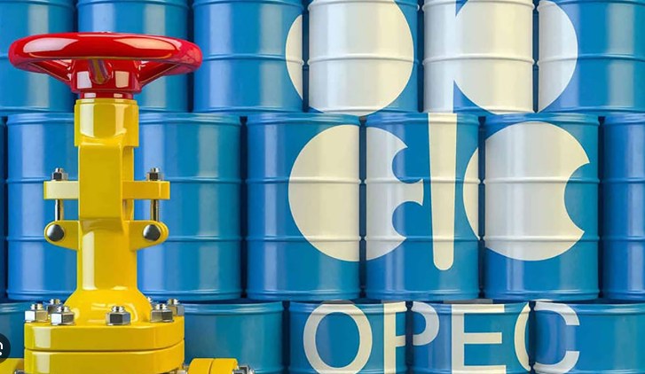 OPEC+ tăng sản lượng từ tháng 7: Dầu đậu tương chịu áp lực kép