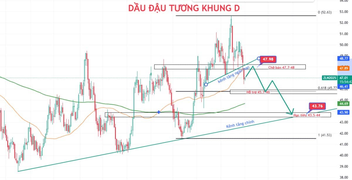 OPEC+ tăng sản lượng từ tháng 7: Dầu đậu tương chịu áp lực kép