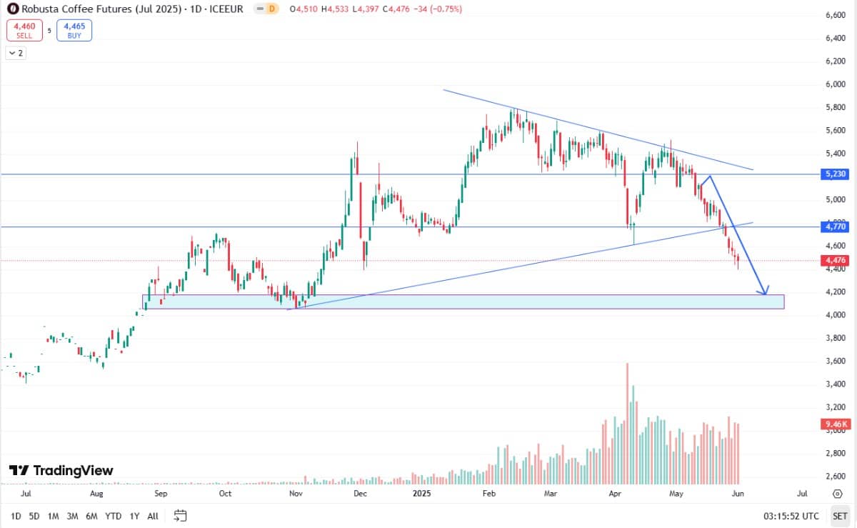 Giá cà phê Robusta thấp nhất trong 7 tháng – Áp lực nguồn cung vẫn đè nặng