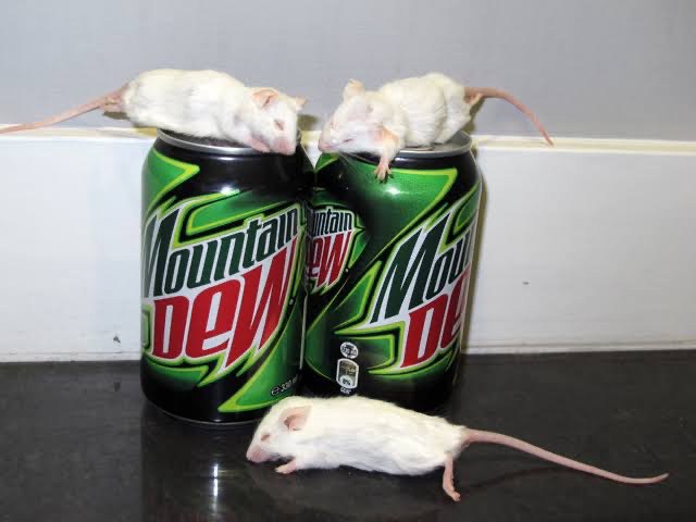 Khủng hoảng truyền thông của CP: Khi niềm tin sụp đổ không vì sự thật, mà vì cách ứng xử