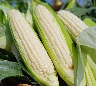 Ngô – Khi thị trường chiết khấu đủ sâu, nhà đầu tư cần bắt đầu chú ý