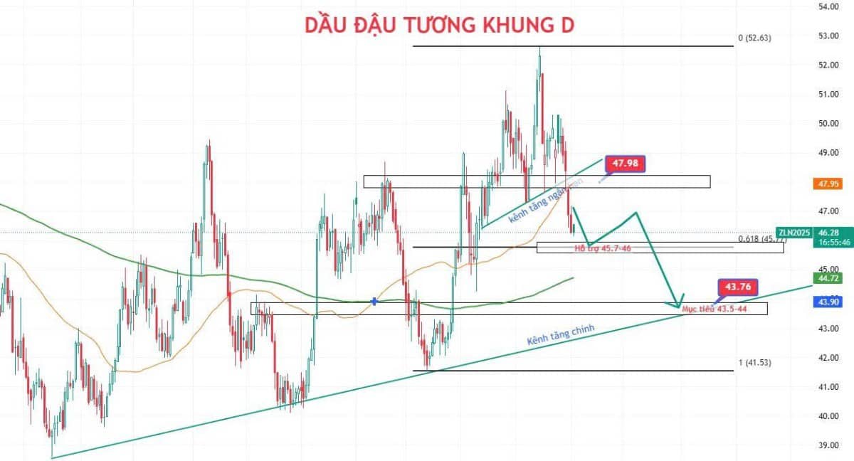 OPEC tăng sản lượng - Dầu đậu tương mất hỗ trợ