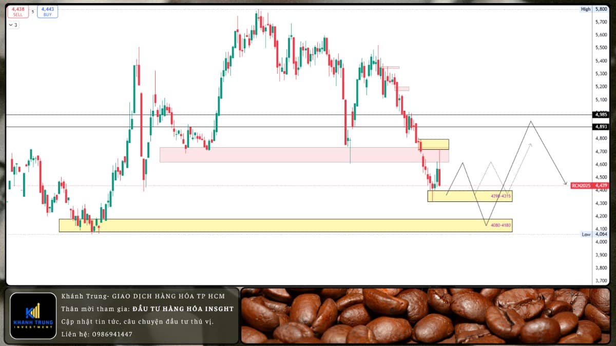 Giá cà phê giảm do áp lực cung mạnh từ Brazil và Việt Nam – rủi ro từ thời tiết vẫn hiện hữu