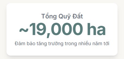 Update VHM: Hiểu đơn giản cổ phiếu BĐS nhà họ Vin