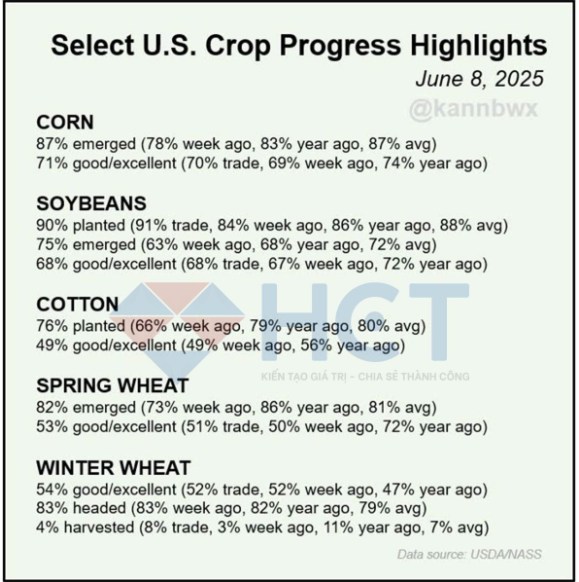 Cập nhật thị trường nông sản Mỹ: Mùa vụ thuận lợi – Xuất khẩu gián đoạn, giá có thể chịu áp lực trong ngắn hạn