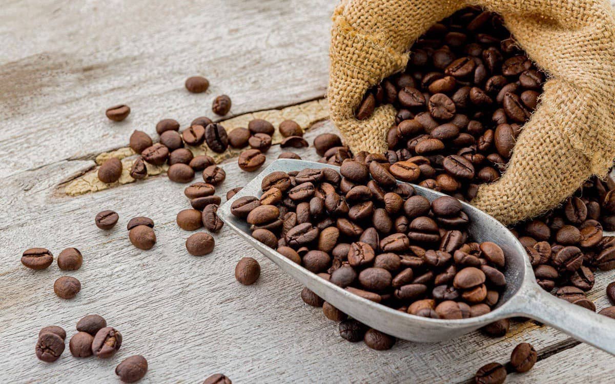 Cacao và đường bước vào mùa vụ 2025/26 với những dấu hiệu trái ngược