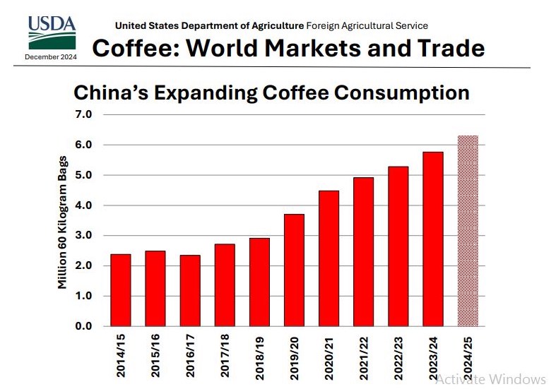 Thị trường cà phê Arabica kì hạn tháng 9/25: Cung giảm, giá tăng mạnh, kỳ vọng còn tiếp diễn?