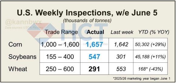 Cập nhật thị trường nông sản Mỹ: Mùa vụ thuận lợi – Xuất khẩu gián đoạn, giá có thể chịu áp lực trong ngắn hạn