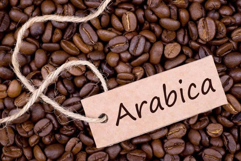 Thị trường cà phê Arabica kì hạn tháng 9/25: Cung giảm, giá tăng mạnh, kỳ vọng còn tiếp diễn?