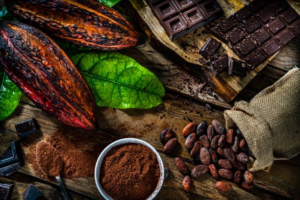 Cà Phê Robusta Rớt Thảm – Nhưng Đây Có Thể Là Cú Pullback Đẹp Nhất 2025!