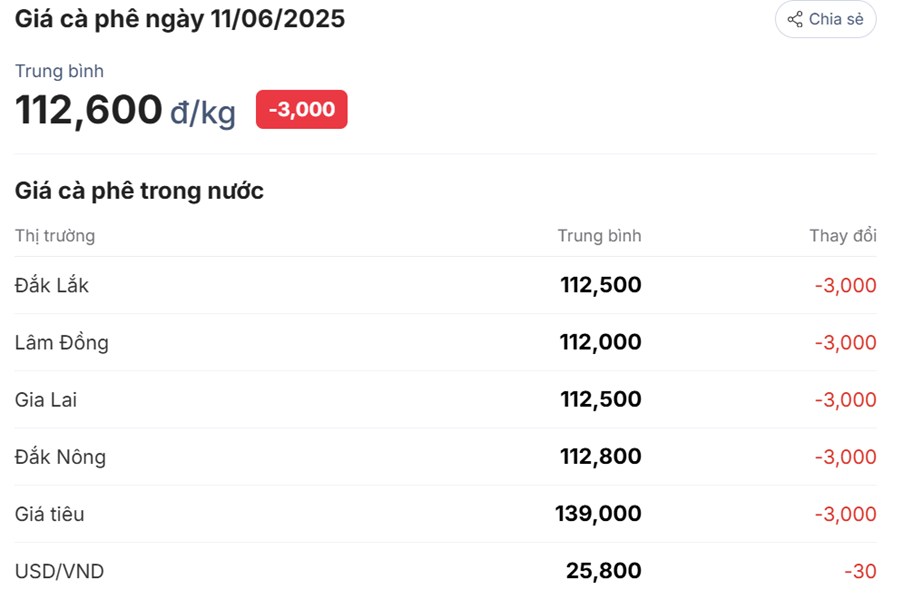 Giá Cà Phê Ngày 11/06/2025: Áp Lực Từ Vụ Thu Hoạch Đang Diễn Ra – Kỳ Vọng Hồi Phục Kỹ Thuật Tạm Thời