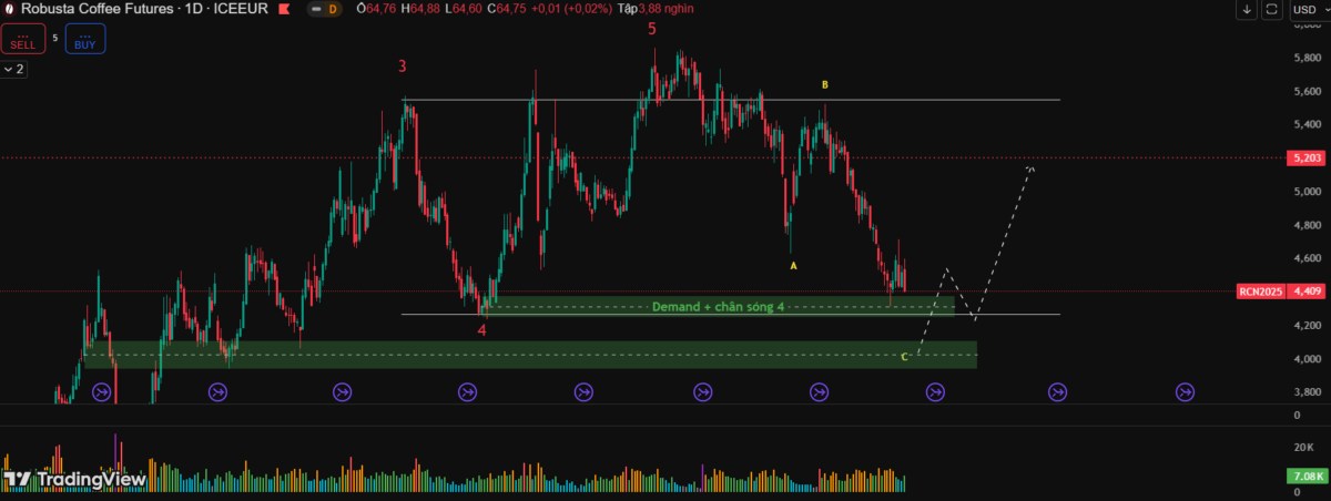 Cà Phê Robusta Rớt Thảm – Nhưng Đây Có Thể Là Cú Pullback Đẹp Nhất 2025!