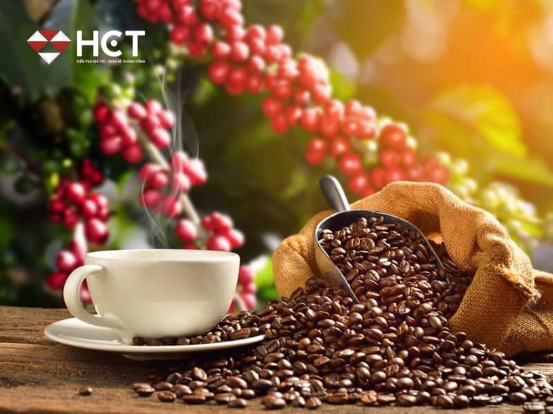 Arabica và Robusta: Sóng Giá Nào Sẽ Dẫn Dắt Thị Trường Trong Nửa Cuối Năm?