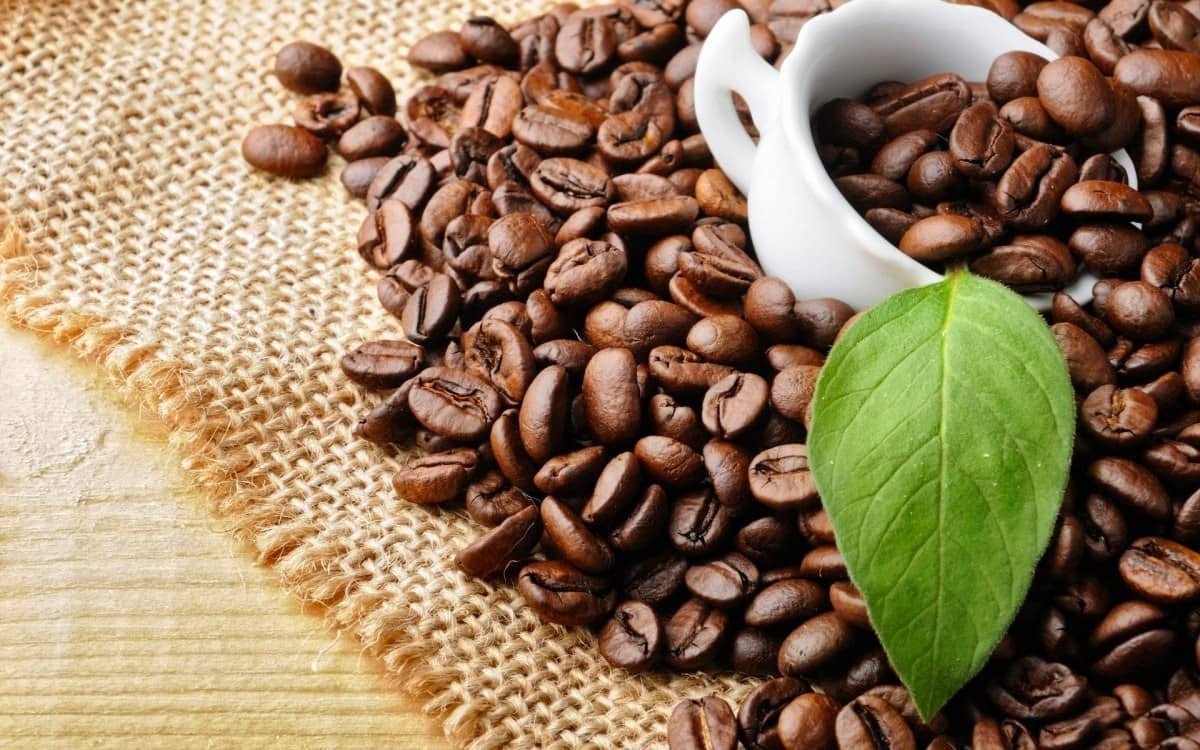 Giá Robusta Chạm Mốc Nguy Cơ – Xu Hướng Giảm Chưa Có Dấu Hiệu Dừng Lại