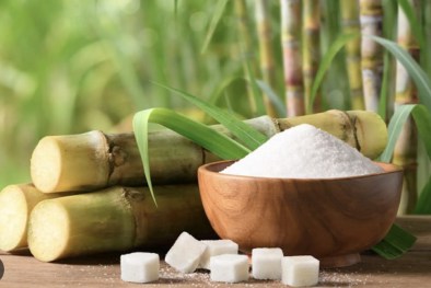 Đường tăng mạnh nhờ đà tăng của giá dầu và sức mạnh của đồng Real Brazil