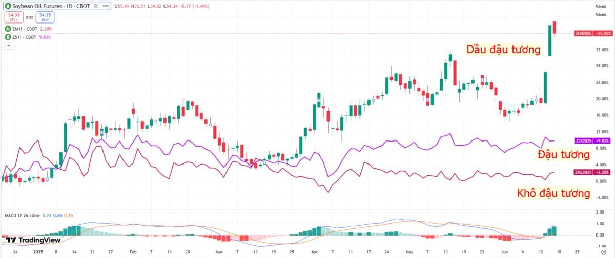 Dầu đậu tương tăng vọt gần 5%: Chính sách sinh học của Mỹ thổi bùng biên lợi nhuận nghiền!