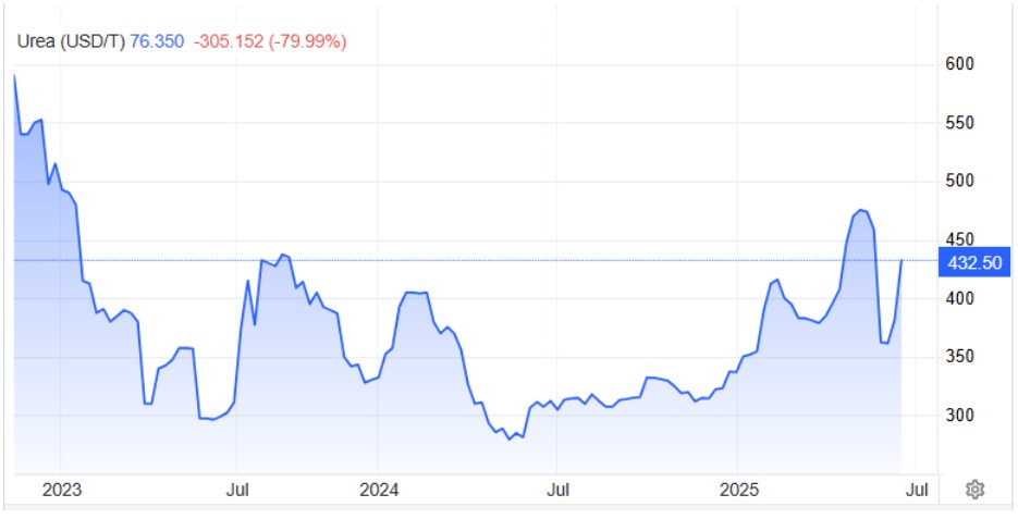 DCM – Đã có những dấu hiệu tích cực