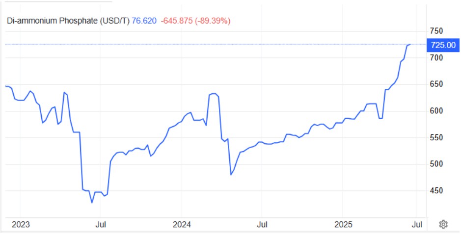 DCM – Đã có những dấu hiệu tích cực