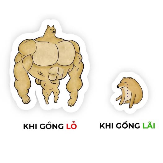 Kết thúc tuần quỹ cơ cấu