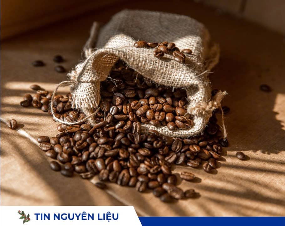Giá cà phê 20/06/2025: Áp lực nguồn cung kéo giá xuống đáy hơn một năm