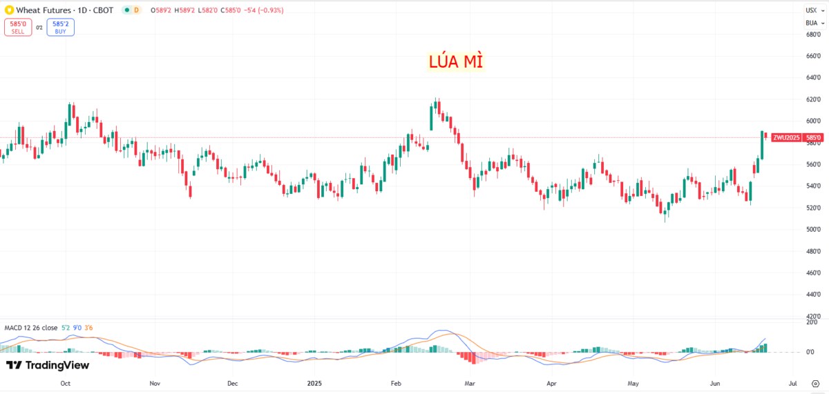 Giá lúa mì bật tăng mạnh: Rủi ro từ Nga và Mỹ đẩy giá lên cao, cơ hội đầu tư với hợp đồng kỳ hạn tháng 9/2025 - ZWAU25?