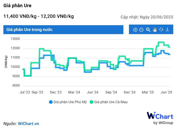 DPM: Những chỉ báo tạo đỉnh ngắn hạn?