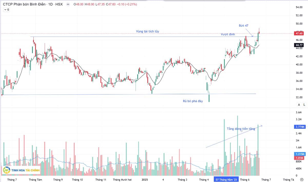 Diễn biến thị trường tuần sau