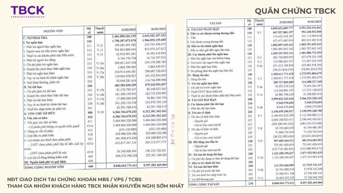 Nhận định Cổ Phiếu CEO 2025: Bùng nổ đón sóng Phú Quốc và Vân Đồn