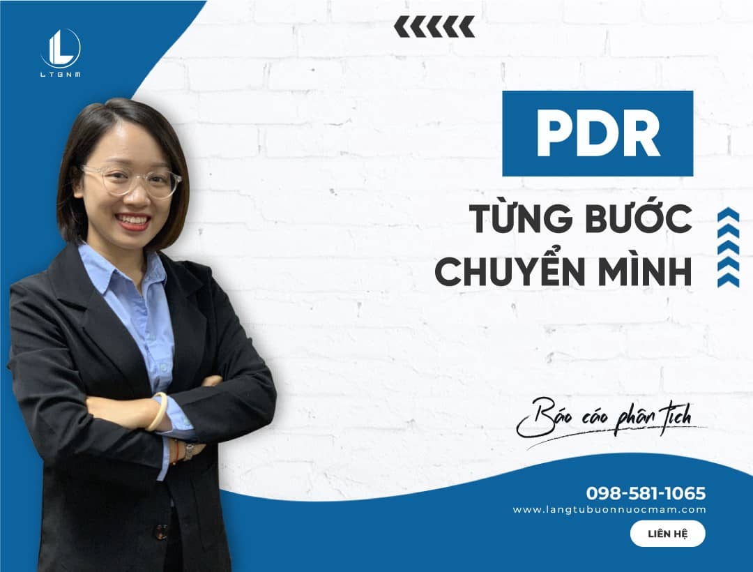PDR – Từng bước chuyển mình