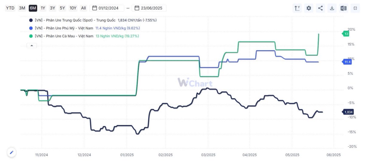 Toàn cảnh cung ứng Urê toàn cầu – Nguy cơ đứt gãy nghiêm trọng