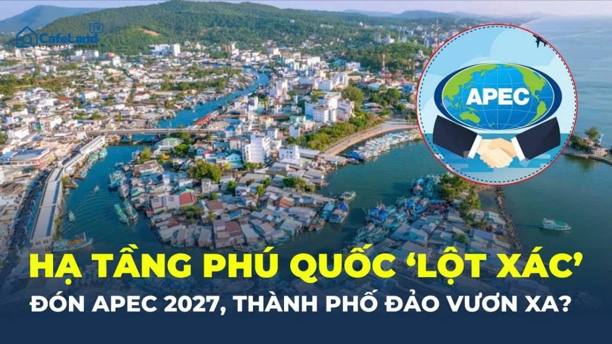 Nhận định Cổ Phiếu CEO 2025: Bùng nổ đón sóng Phú Quốc và Vân Đồn