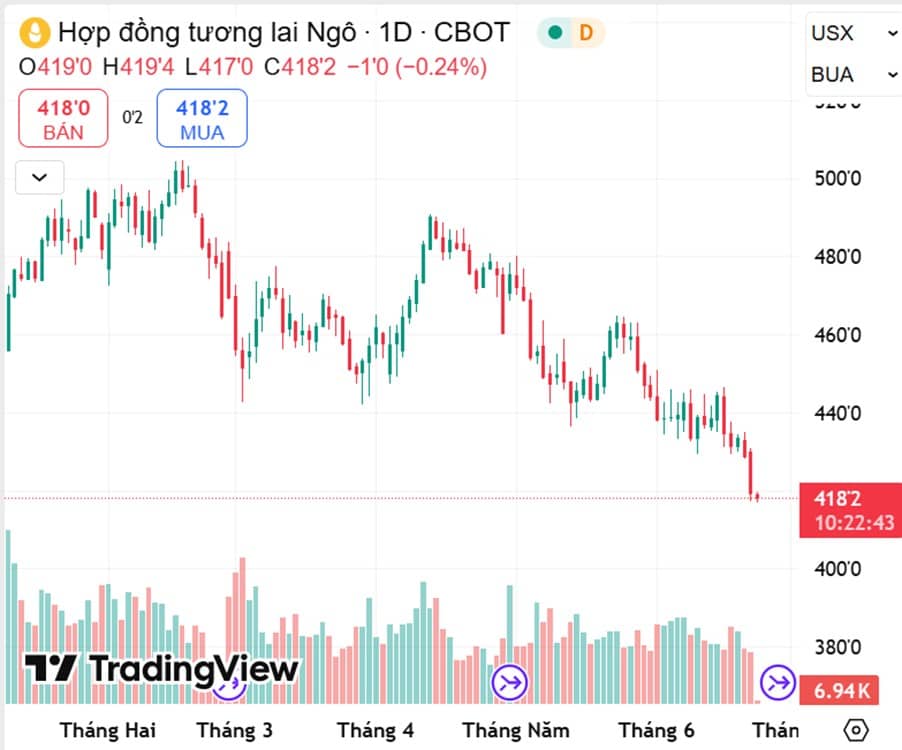 Ngô Giảm Về Vùng Hỗ Trợ Mạnh – Đây Là Cơ Hội Mua Hay Tín Hiệu Giảm Sâu Hơn?