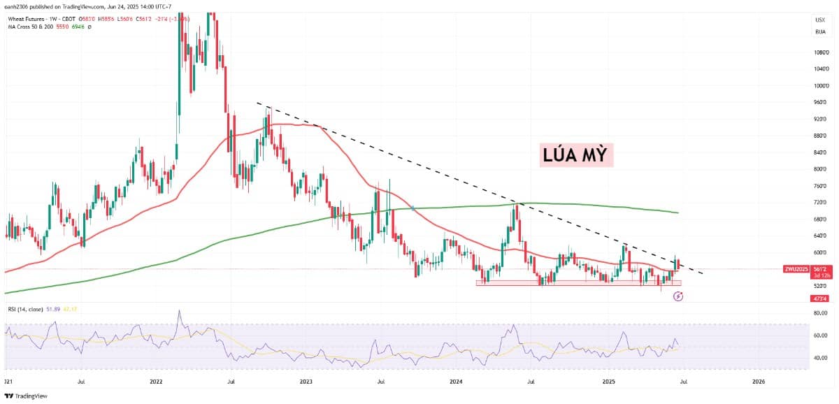 Lúa Mì Trên Đà Hồi Phục: Cơ Hội Định Vị Trước Biến Động Mùa Vụ