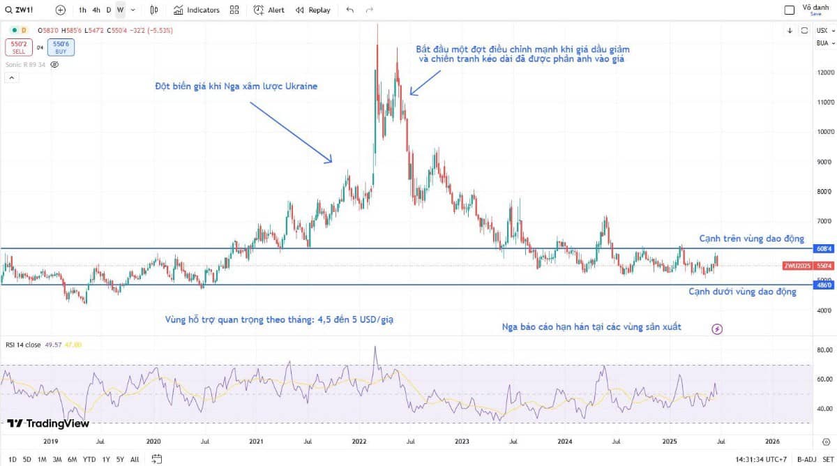 Bẫy tăng giá hay cơ hội thật sự? Nhà đầu tư cần tỉnh táo với lúa mì!