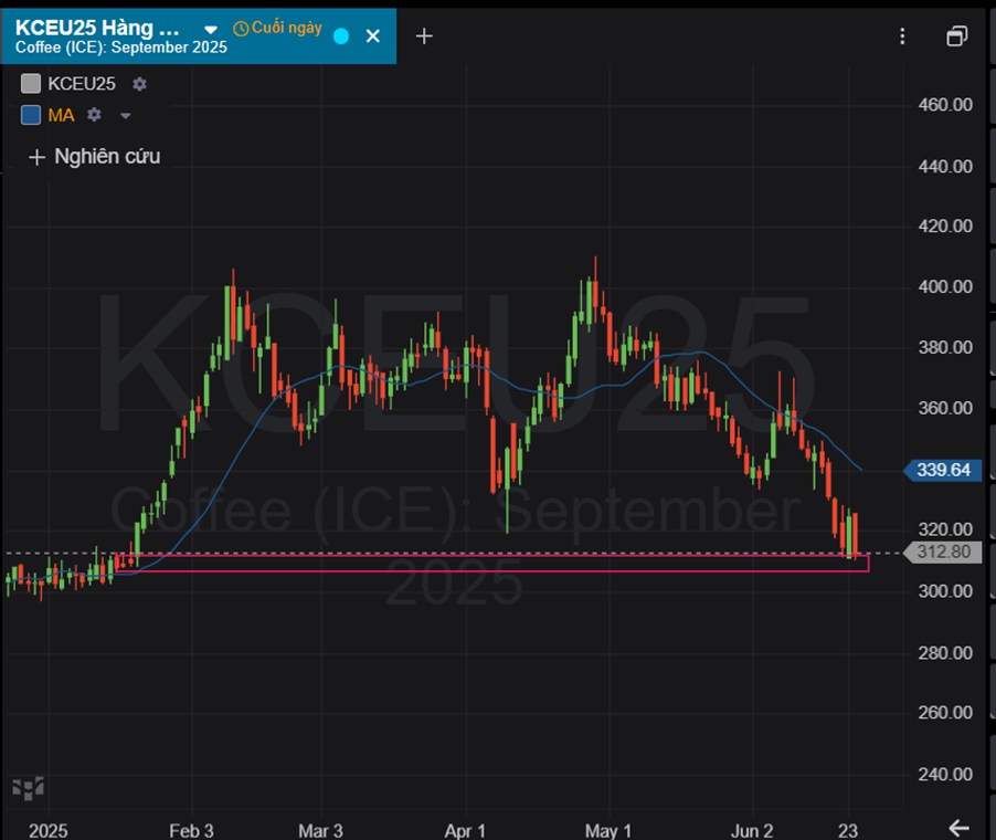 Cà Phê Arabica Chạm Đáy 3 Tháng – Cơ Hội Mua Hay Cảnh Báo Giảm Sâu Hơn?