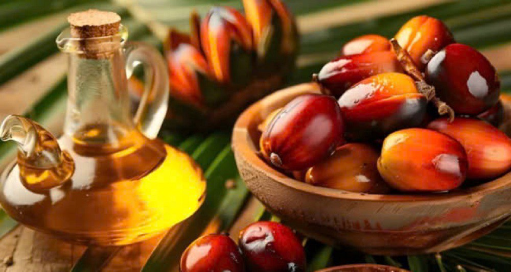 Dầu Cọ Thoát Đáy Ngắn Hạn – Nhưng ‘Bóng Ma’ Tồn Kho Indonesia Vẫn Lơ Lửng