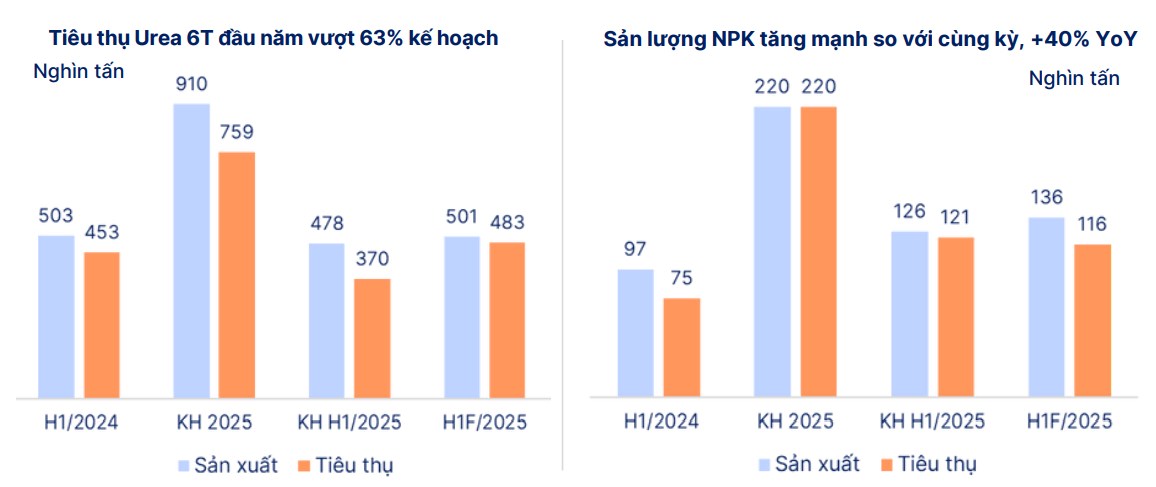 DCM – Cổ phiếu phân bón nổi bật nửa cuối 2025: Cơ hội đến từ cả nội lực và bối cảnh ngành